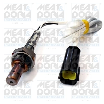 Oxygen Sensor